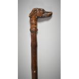 A Late 19th Century Thorn Wood Walking Cane with Carved Greyhound Handle, 90cm Long