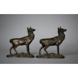 A Pair of Late 19th Century Bronze Mounts in the Form of Stags (Missing Antlers)