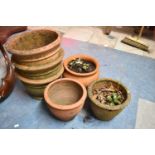 A Collection of Six Various Terracotta Plant Pots