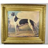 A Large Gilt Framed Print on Card of a Black and White Greyhound, 60x49cm