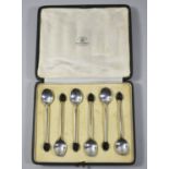 A Cased Set of Six Silver Coffee Spoons with Black Coffee Bean Finials, Mappin & Webb,  Sheffield
