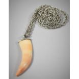 A Silver Mounted Carved Angel Coral Fang and 26" Chain