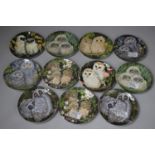 A Collection of Wedgwood Plates, The Baby Owls Series