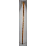 A Mid 20th Century Poacher's Fishing Rod Disguised as a Bamboo Walking Stick Having Carved