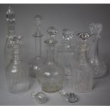 A Collection of Various Decanters