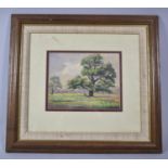 A Framed Watercolour Depicting Stag Under Tree, 18x14cm