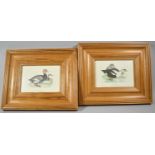 Two Modern Pine Framed Waterfowl Prints, Each 16x11cm