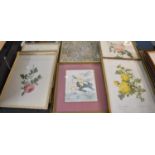 A Collection of Various Gilt Framed Floral Prints (32x42cm) and Watercolors (32x47.8) Together