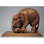 A Large Carved Wooden Study of an Elephant Kneeling on Front Legs, Rectangular Plinth Base, 29.5cm x