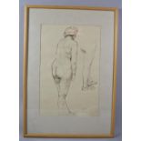 A Framed Life Drawing, Diploma Work 1948 by Angela Glover, 24x36cm