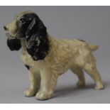 An Edwardian Cold Painted Spelter Study of a Spaniel, 11cm Long