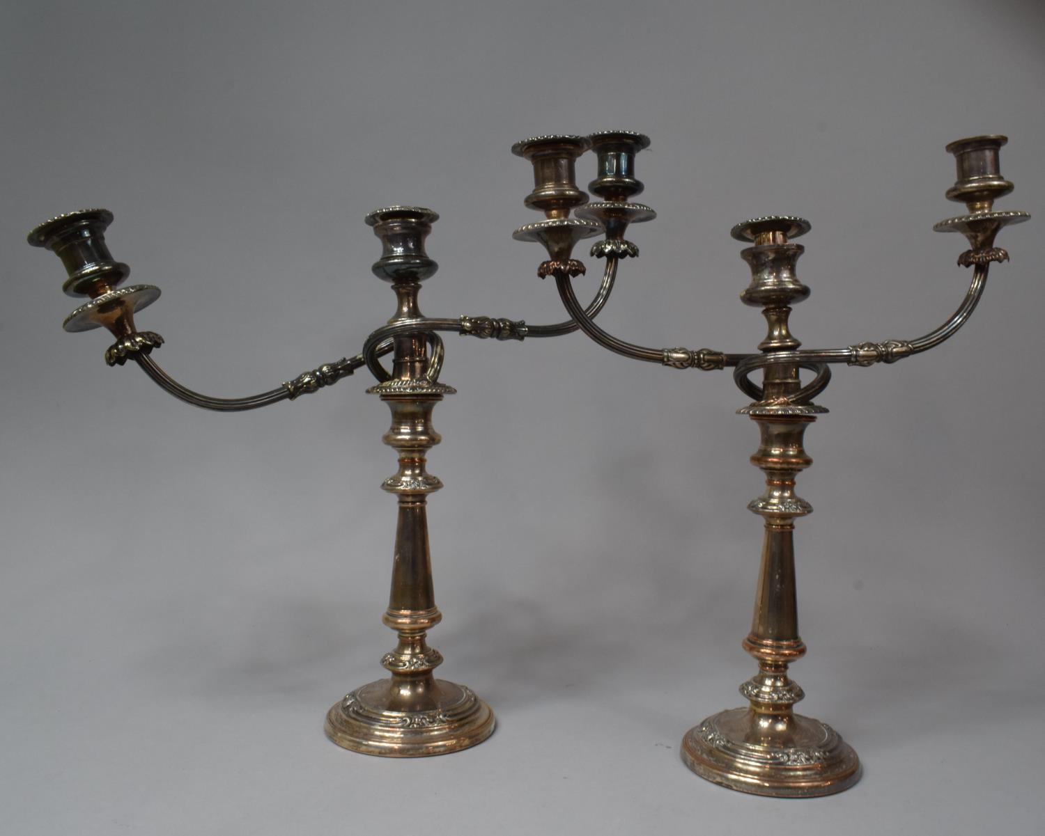 A Pair of Edwardian Sheffield Plated Three Branch Candelabra, in Need of Attention and Condition