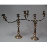 A Pair of Edwardian Sheffield Plated Three Branch Candelabra, in Need of Attention and Condition