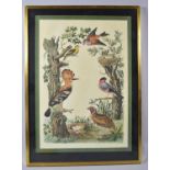 A Framed Print Depicting Birds, 42x29cm