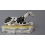 A 19th Century Novelty Staffordshire Pen Holder in the Form of a Reclining Black and White Greyhound