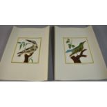 A Collection of 8 Unframed Prints of Birds, 2 Subjects
