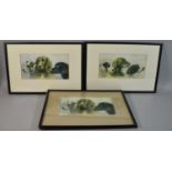 Three Framed Dog Prints, Each 30x16cm