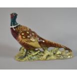 A Besick Study of a Cock Pheasant, No.1225