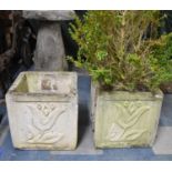 A Pair of Moulded Reconstituted Stone Square Garden Planters, One with Plant, 36cm high