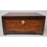 A Late 19th Century Work Box with Hinged Crossbanded Lid, Missing Back Bun Feet, 30cm Wide