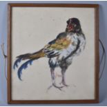 A Framed Oil Sketch of a Fighting Cock, 30x27cm