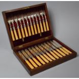 An Edwardian Walnut Cased Set of 12 Silver Banded Bone Handled Fruit Knives and Forks