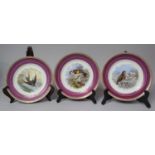 A Set of Three 19th Century Transfer Printed Plates Depicting Robin, Goldfinch and Swallow, 21cm