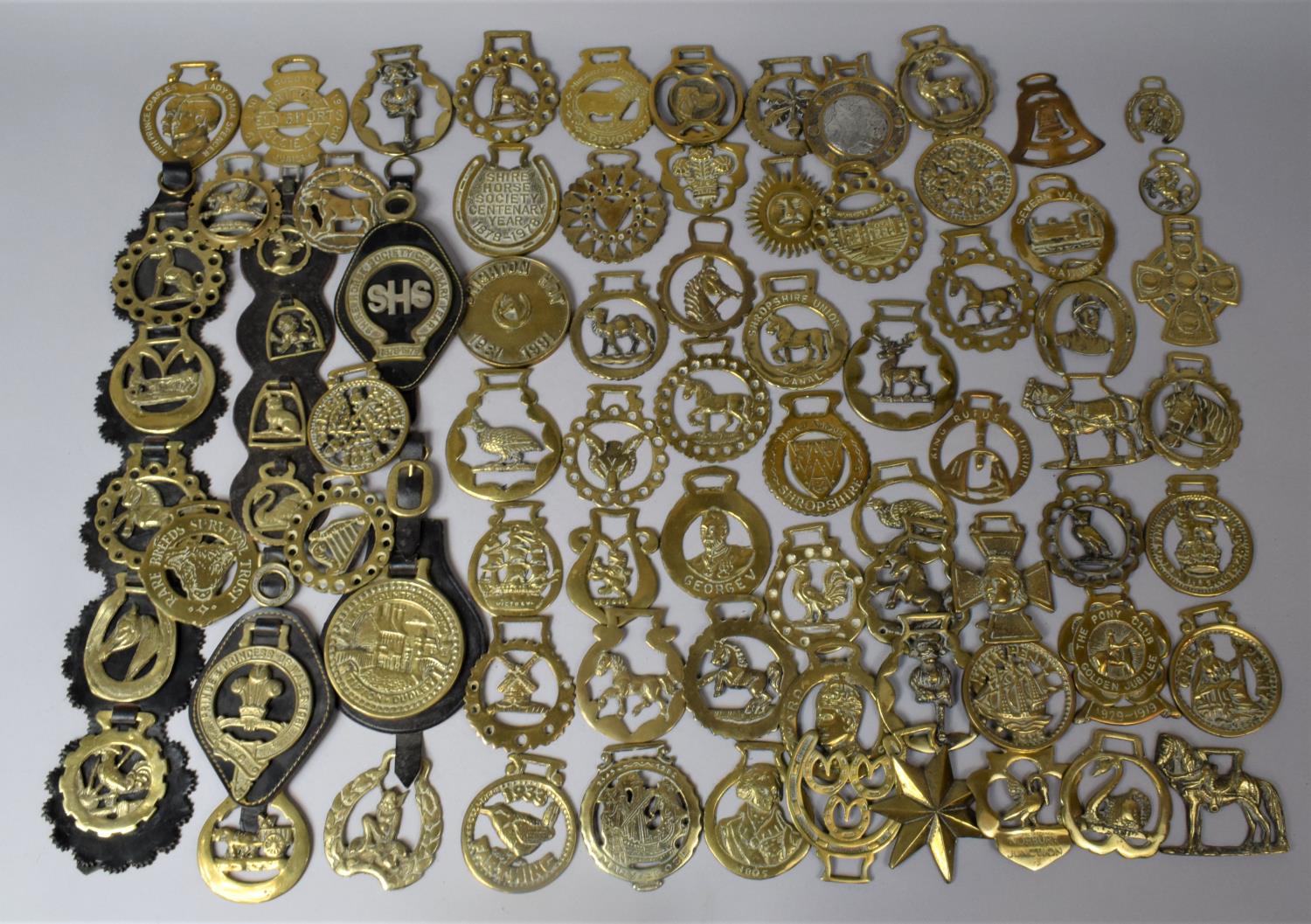 A Collection of Various Victorian, Edwardian and Later Horse Brasses