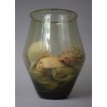 A Glass Vase Containing Sea Shells, Vase 30cm high