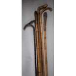 A Collection of Six Various Rustic Walking Sticks