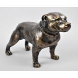 A Bronze Effect Study of a Pitbull Terrier, 31cm Long, (Plus VAT)