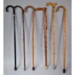 A Collection of Six Various Walking Sticks