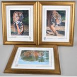 A Set of Three Limited Edition Tiger Prints, All Singed in Pencil to the Border, 34x28cm, One with
