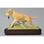 A Royal Worcester Study of Yellow Labrador by Doris Lindner on Wooden Stand with Original Purchase