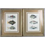 A Pair of Modern Framed Tropical Fish Prints, Each 30x21cm