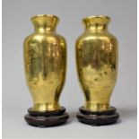 A Pair of Early Chinese Bronze Vases Decorated with Chrysanthemums and Birds and Butterflies Among