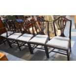 A Set of Five Mahogany Framed Dining Chairs to Include One Carver