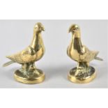 A Pair of Heavy Brass Desk top Novelty Paperweights in the Form of Pigeons, Each 10.25cms High