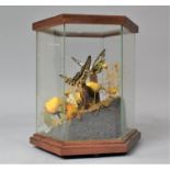 A Modern Hexagonal Diorama Containing Butterflies and Flowers, 20cms High