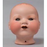 An Armand Marseille Dolls Head with Closing Eyes, No.351