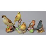 A Royal Worcester Yellow Hammer Group, Thrush, Nuthatch and Chaffinch