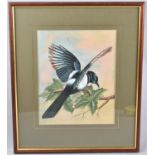 A Framed Painting of a Magpie on Silk, 23x59cm