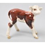 A Beswick Hereford Calf