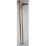 A Vintage Ladies Walking Cane and One Other