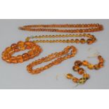 A Collection of Amber Chip Bead Necklaces