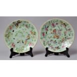 Two Late 19th Century Chinese Famille Rose Celadon Export Dishes Decorated with Insects and