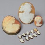 A Large Shell Cameo Brooch Mounted in White Metal Together with Two Other Examples and a Number of