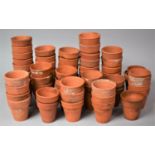 A Large Collection of Terracotta Plant Pots