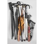 A Collection of Various Modern Walking Sticks and Umbrellas