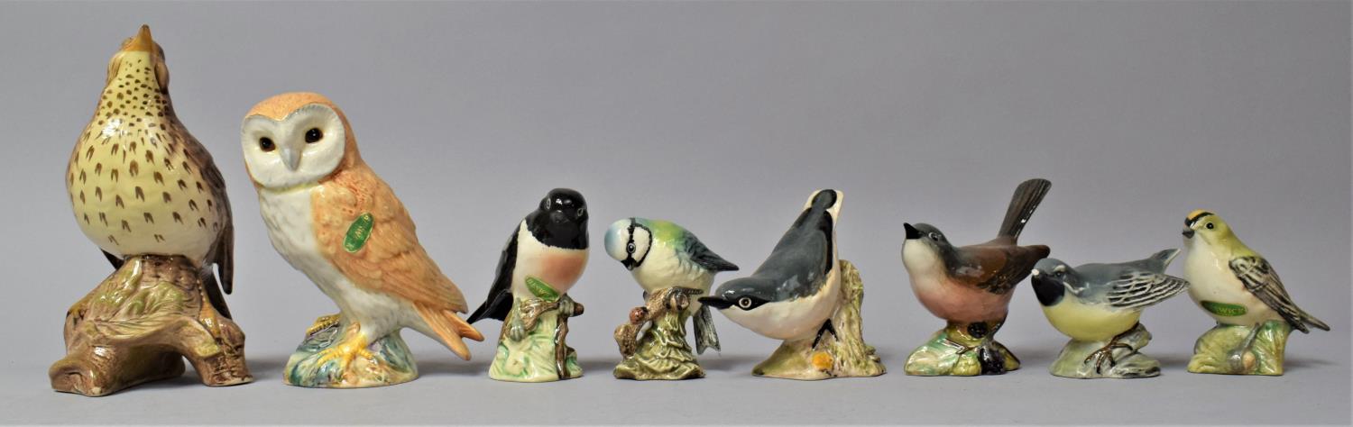 A Collection of Eight Beswick Birds, Varying Condition Issues to Include Grey Wagtail Af etc